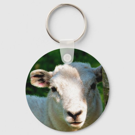NIEDLICHE KLEINE SCHAFE SCHLÜSSELANHÄNGER (Vorderseite)