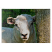 NIEDLICHE KLEINE SCHAFE SCHNEIDEBRETT (Vorderseite)