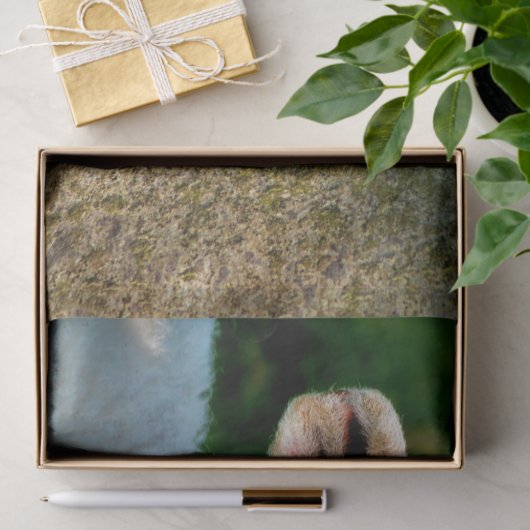 NIEDLICHE KLEINE SCHAFE SEIDENPAPIER (Geschenk)