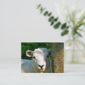 NIEDLICHE KLEINE SCHAFE VISITENKARTE (Stehend Vorderseite)