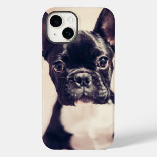 Niedliche kleine Schwarz-Weiß-Welpe Case-Mate iPhone 14 Hülle