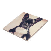 Niedliche kleine Schwarz-Weiß-Welpe Fliese (Seite)