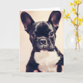 Niedliche kleine Schwarz-Weiß-Welpe Karte (Gelbe Blume)