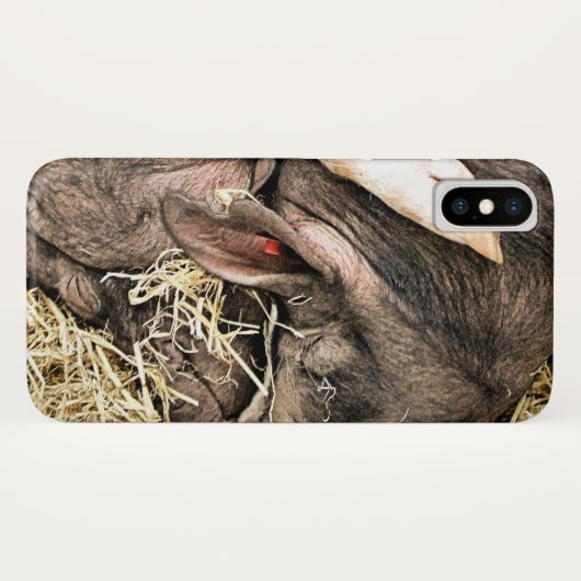 NIEDLICHE KLEINE SCHWEINE Case-Mate iPhone HÜLLE (Rückseite (Horizontal))