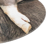 NIEDLICHE KLEINE SCHWEINE SCHNEIDEBRETT (Ecke)