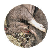 NIEDLICHE KLEINE SCHWEINE SCHNEIDEBRETT (Vorderseite)
