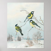 Niedliche kleine Vögel von Matti Karppanen, Vogelk Poster (Vorne)