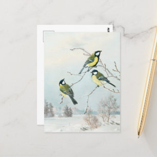 Niedliche kleine Vögel von Matti Karppanen, Vogelk Postkarte