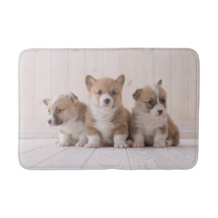 Niedliche Kleintiere 3 Baby Corgis Badematte