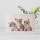 Niedliche Kleintiere | 3 Baby Corgis Dankeskarte (Stehend Vorderseite)