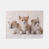 Niedliche Kleintiere | 3 Baby Corgis Fleecedecke (Vorderseite (Horizontal))