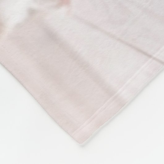 Niedliche Kleintiere | 3 Baby Corgis Fleecedecke (Ecke)