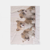 Niedliche Kleintiere | 3 Baby Corgis Fleecedecke (Vorderseite)