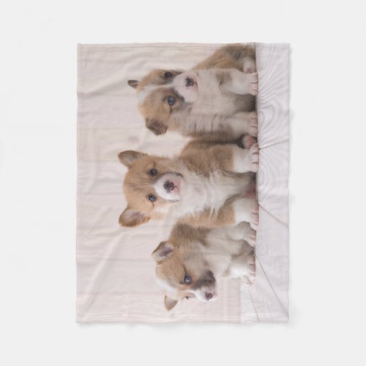 Niedliche Kleintiere | 3 Baby Corgis Fleecedecke (Vorderseite)