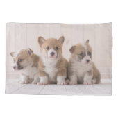 Niedliche Kleintiere | 3 Baby Corgis Kissenbezug (Rückseite)
