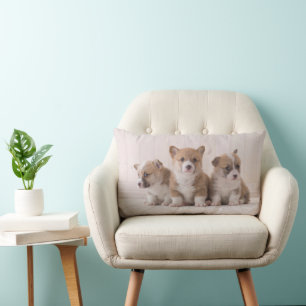 Niedliche Kleintiere 3 Baby Corgis Lendenkissen