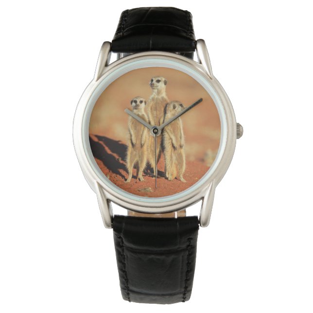 Niedliche Kleintiere | 3 Meerkatze Armbanduhr (Vorderseite)