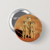 Niedliche Kleintiere | 3 Meerkatze Button (Vorne & Hinten)