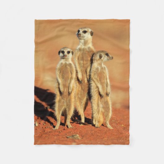 Niedliche Kleintiere | 3 Meerkatze Fleecedecke (Vorderseite)