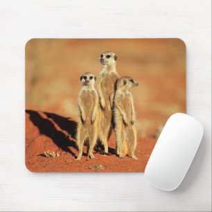Niedliche Kleintiere 3 Meerkatze Mousepad