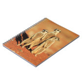 Niedliche Kleintiere | 3 Meerkatze Notizblock (Linke Seite)