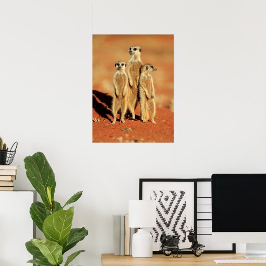 Niedliche Kleintiere | 3 Meerkatze Poster (Heimbüro)