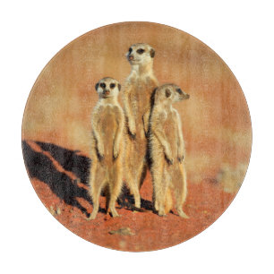 Niedliche Kleintiere 3 Meerkatze Schneidebrett