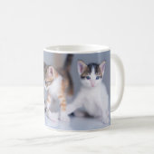 Niedliche Kleintiere | 3 Tabby Kittens Kaffeetasse (VorderseiteRechts)