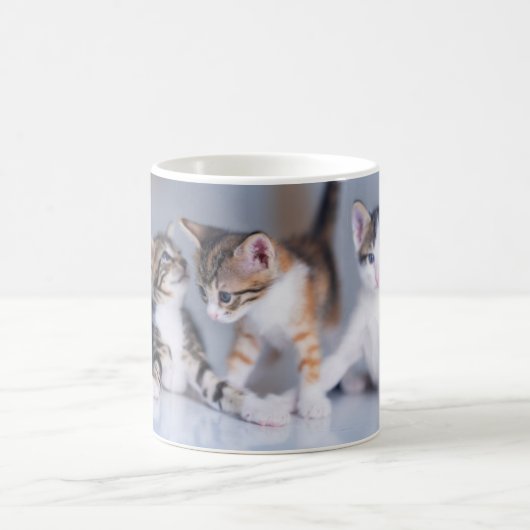 Niedliche Kleintiere | 3 Tabby Kittens Kaffeetasse (Mittel)