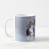 Niedliche Kleintiere | 3 Tabby Kittens Kaffeetasse (Links)
