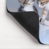 Niedliche Kleintiere | 3 Tabby Kittens Mousepad (Ecke)