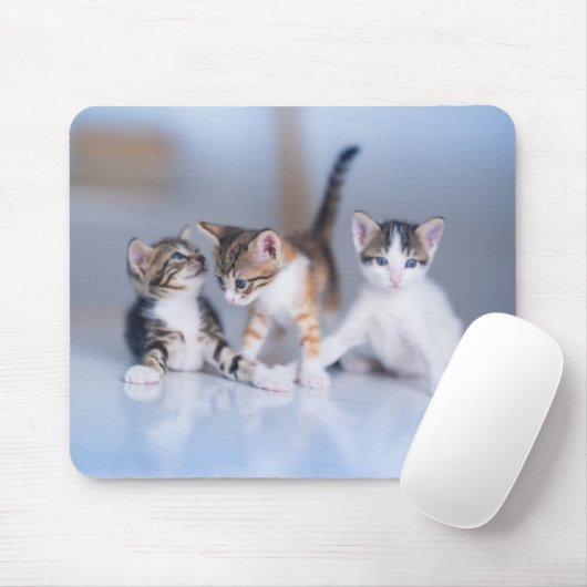 Niedliche Kleintiere | 3 Tabby Kittens Mousepad (Mit Mouse)