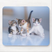 Niedliche Kleintiere | 3 Tabby Kittens Mousepad (Vorne)