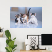 Niedliche Kleintiere | 3 Tabby Kittens Poster (Heimbüro)