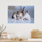 Niedliche Kleintiere | 3 Tabby Kittens Poster (Küche)