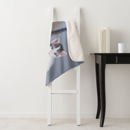 Niedliche Kleintiere | 3 Tabby Kittens Sherpadecke (Beispiel)