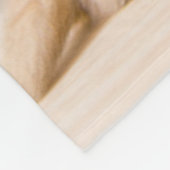 Niedliche Kleintiere | A British Longhair Kitten Fleecedecke (Ecke)