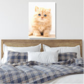 Niedliche Kleintiere | A British Longhair Kitten Leinwanddruck (Insitu (Schlafzimmer))