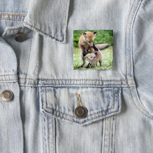 Niedliche Kleintiere | Adorable Fox Kit & Mama Button (Beispiel)