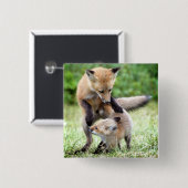 Niedliche Kleintiere | Adorable Fox Kit & Mama Button (Vorne & Hinten)