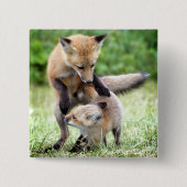 Niedliche Kleintiere | Adorable Fox Kit & Mama Button (Vorderseite)