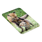 Niedliche Kleintiere | Adorable Fox Kit & Mama Magnet (Rechte Seite)