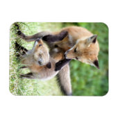 Niedliche Kleintiere | Adorable Fox Kit & Mama Magnet (Horizontal)