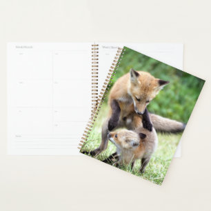 Niedliche Kleintiere Adorable Fox Kit & Mama Planer