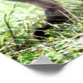 Niedliche Kleintiere | Adorable Fox Kit & Mama Poster (Ecke)