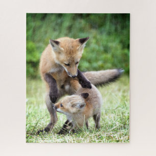 Niedliche Kleintiere   Adorable Fox Kit & Mama Puzzle