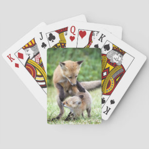 Niedliche Kleintiere   Adorable Fox Kit & Mama Spielkarten