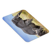 Niedliche Kleintiere | Afrikanische Elefanten und  Magnet (Rechte Seite)