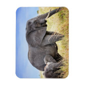 Niedliche Kleintiere | Afrikanische Elefanten und Magnet (Vertikal)