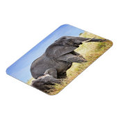 Niedliche Kleintiere | Afrikanische Elefanten und Magnet (Linke Seite)